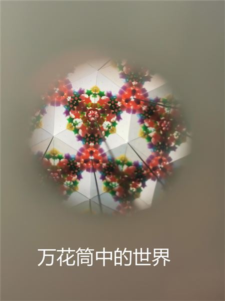 动手动脑，快乐“悟”理——初二物理寒假实践作业展评