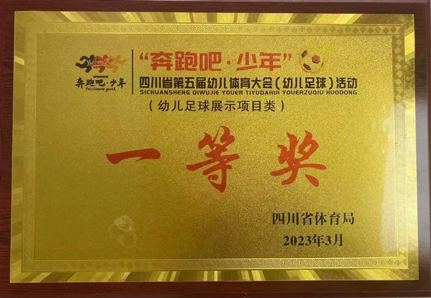 棠湖仁智幼儿园足球队再获佳绩