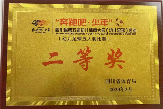 棠湖仁智幼儿园足球队再获佳绩