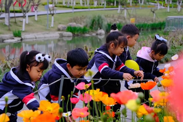 寻找春天的足迹——棠湖仁智幼儿园2023年亲子春游活动