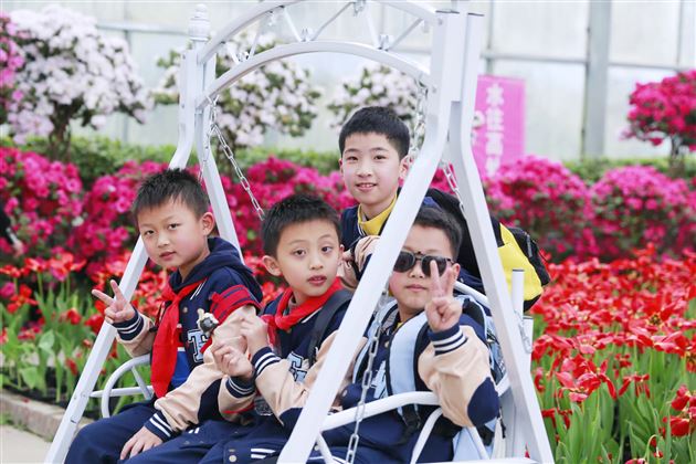 眉眼带笑,去赴一场花事盛会——记棠外附小四年级综合实践课程