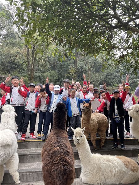 ea7897ccbaa9c90f79807e76ac46b21.jpg畅游碧峰峡谷  拥抱多彩春天——记棠外附小五年级综合实践课程