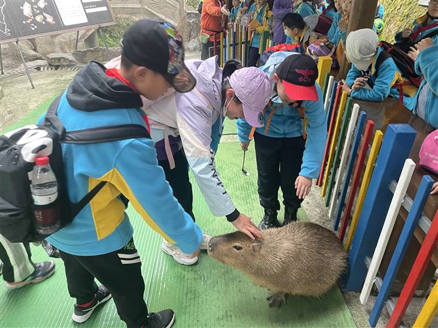 畅游碧峰峡谷  拥抱多彩春天——记棠外附小五年级综合实践课程