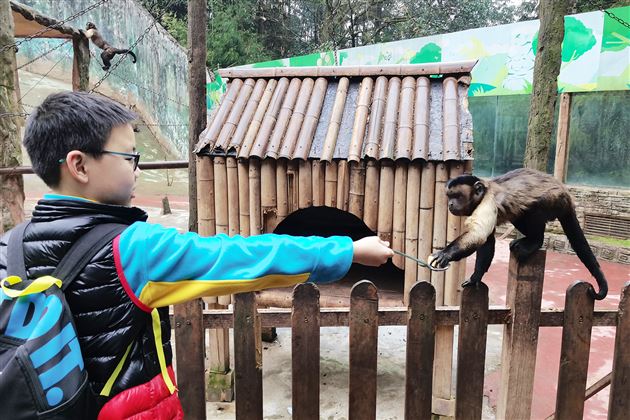 畅游碧峰峡谷  拥抱多彩春天——记棠外附小五年级综合实践课程