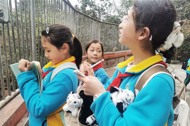 畅游碧峰峡谷  拥抱多彩春天——记棠外附小五年级综合实践课程