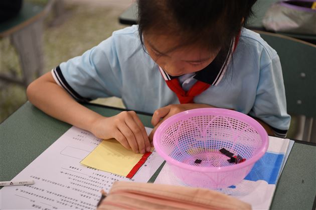 “量”源于“量” “感”获于“测”——记双流区小学三年级数学主题教研活动