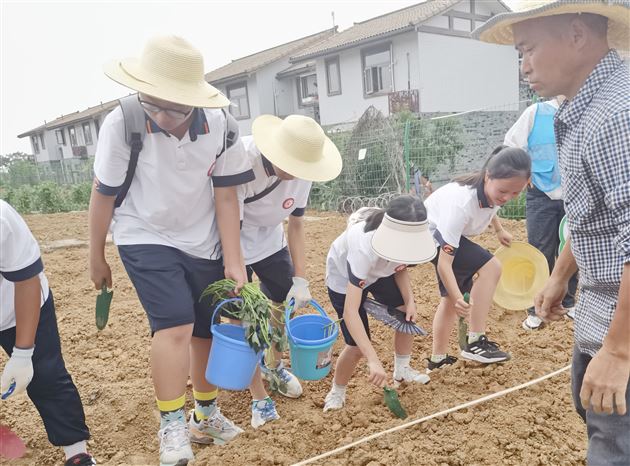 看，我们在空港花田挖呀挖呀挖