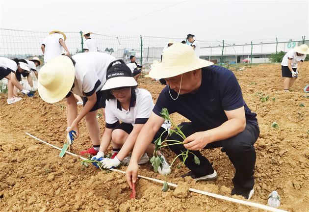 看，我们在空港花田挖呀挖呀挖