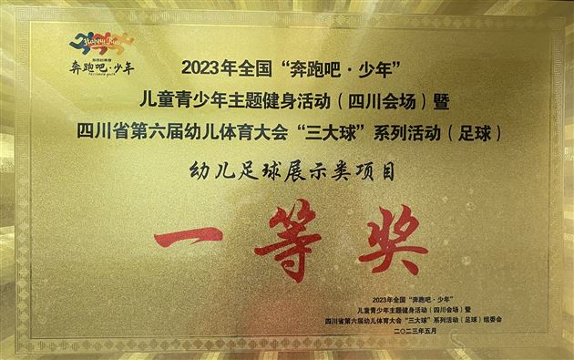 点赞！棠湖仁智幼儿园足球小将荣获多个省级运动奖项