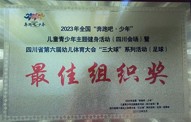 点赞！棠湖仁智幼儿园足球小将荣获多个省级运动奖项