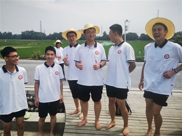 同学们下田插秧