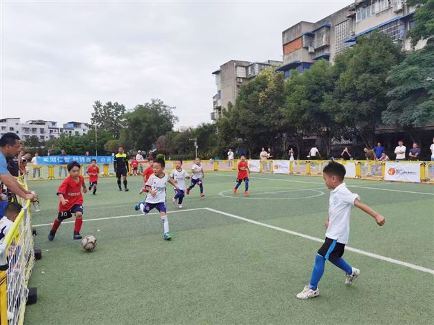 号外！号外！棠湖仁智幼儿园又双叒叕在市级比赛中取得佳绩