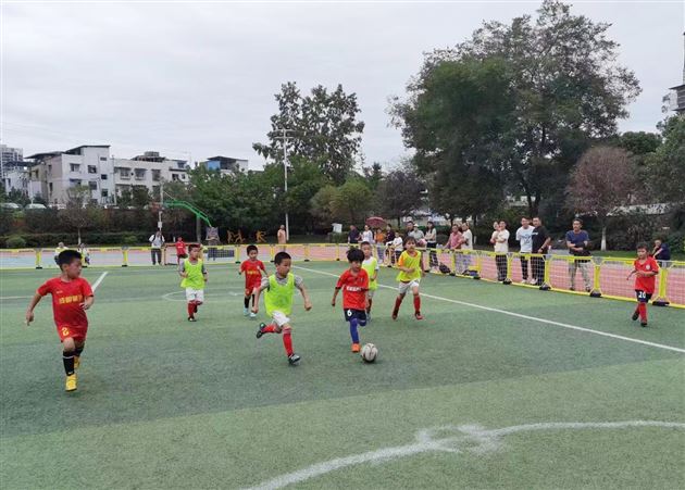 号外！号外！棠湖仁智幼儿园又双叒叕在市级比赛中取得佳绩