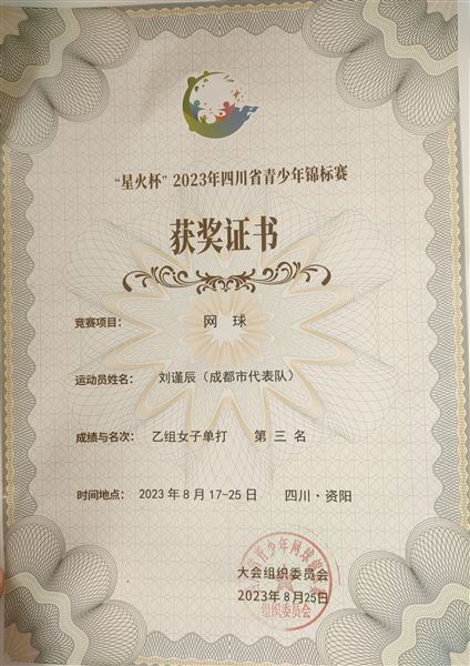 乙组女子单打第三证书