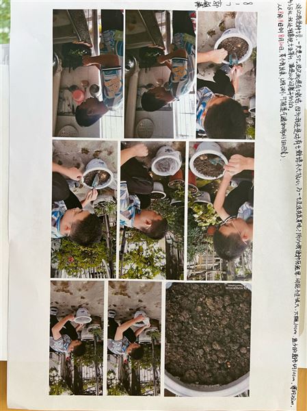 养果蝇、种土豆