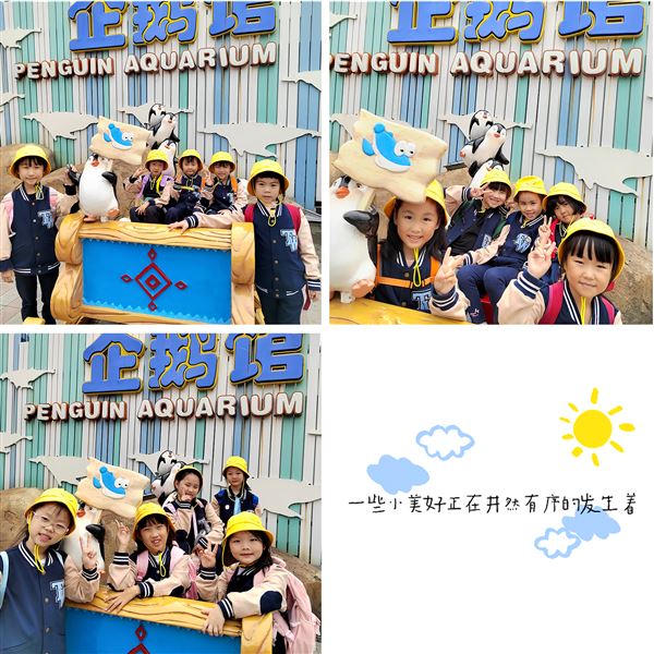 畅游海洋馆探秘海世界——记棠外附小一、二年级秋季研学活动