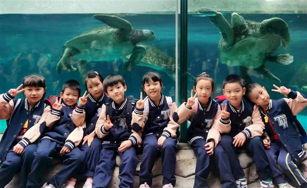 畅游海洋馆探秘海世界——记棠外附小一、二年级秋季研学活动