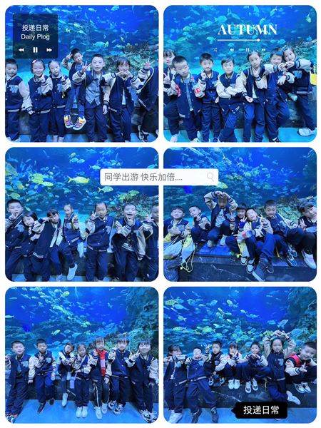 畅游海洋馆探秘海世界——记棠外附小一、二年级秋季研学活动