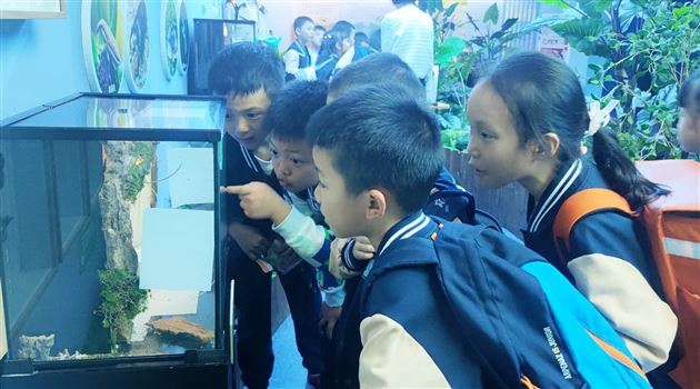 畅游海洋馆探秘海世界——记棠外附小一、二年级秋季研学活动