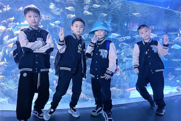 畅游海洋馆  探秘海世界——记棠外附小一、二年级秋季研学活动