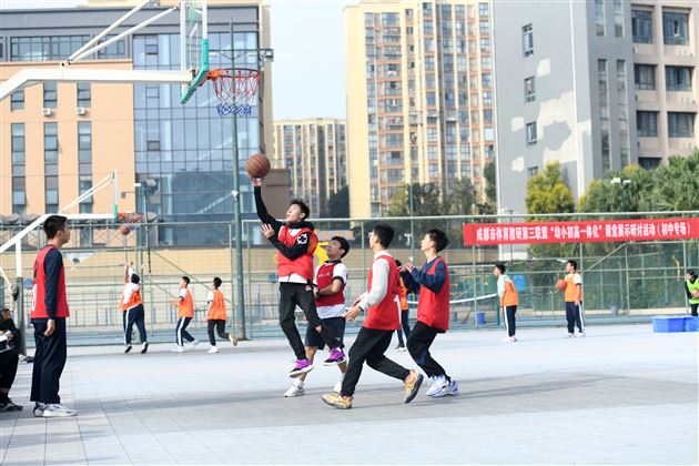 棠外成功举办成都市体育教研第三联盟“幼小初高一体化”课堂展示研讨活动