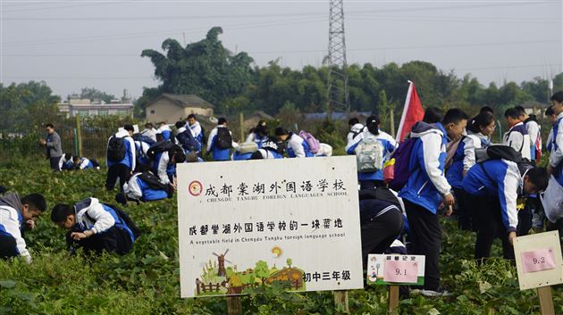 劳动传递快乐 实践点亮生活——记棠外初2021级格林庄园劳动教育实践活动