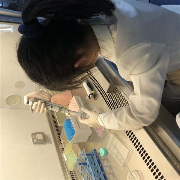 聂言芷 实验操作