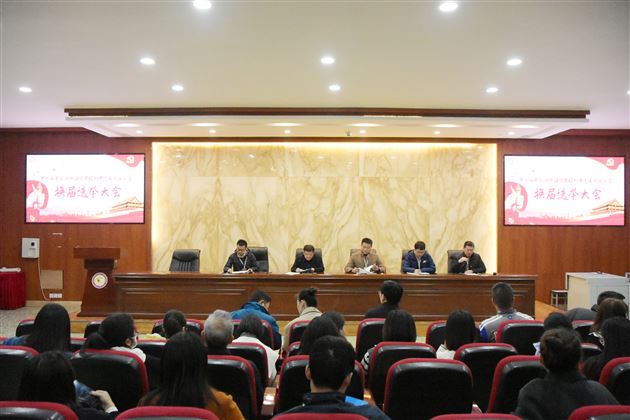 初中党总支换届选举