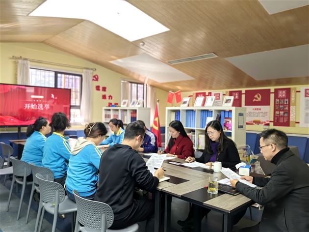 幼儿园党支部换届选举