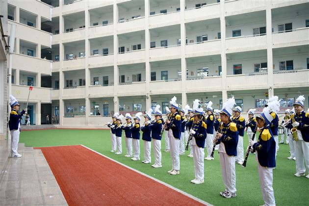 心系红领巾 做好引路人双流区“一月一校、一校一学”少先队教研活动棠外附小专场 