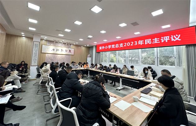 小学党总支党员民主评议
