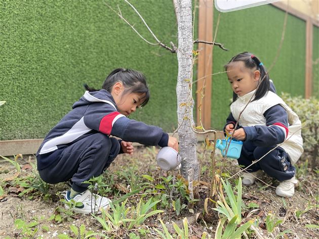 和春天“浇”个朋友