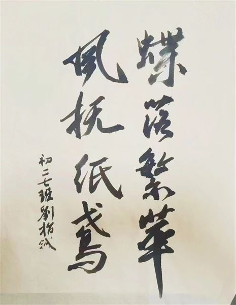 向阳而生 向美而行——2024棠外初2022级校园海报招贴设计大赛圆满举行 