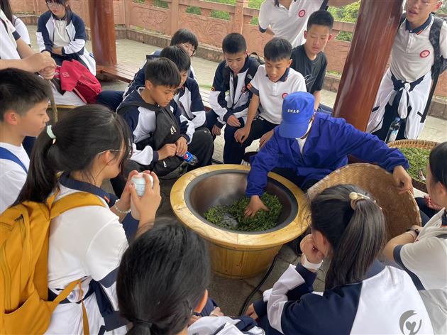 茶叶亲手采 茶香沁我心——棠外初2022级师生赴蒙顶山开展春季研学活动与综合实践课程