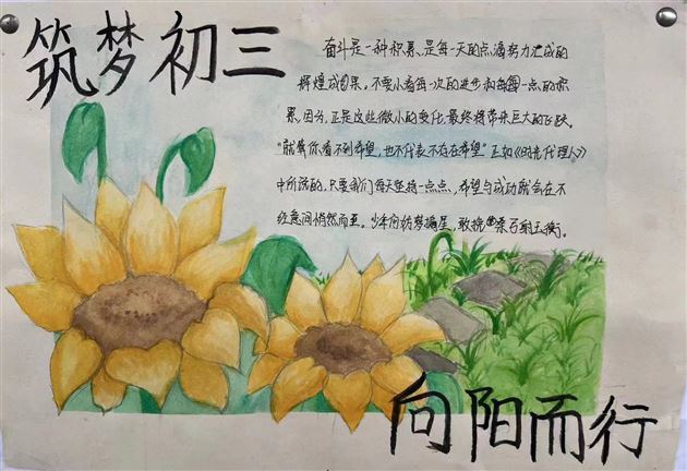 手绘青春色 墙展筑梦情——棠外初2022级开展“筑梦中考”文化墙展评活动