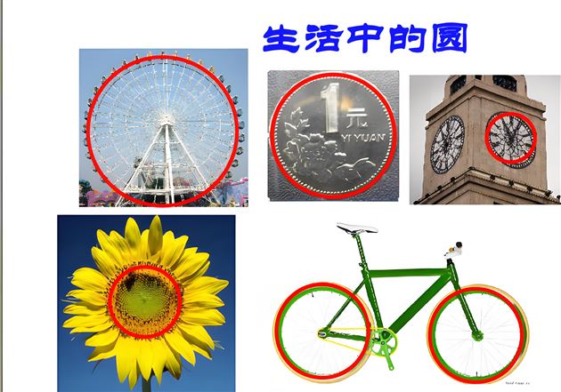 别样课堂 “圆”来如此——记棠外附小六年级数学综合实践活动