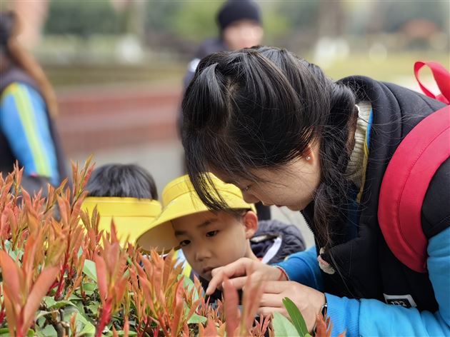 踏青季 游民大——棠湖仁智幼儿园2025年春季中班组社会实践 
