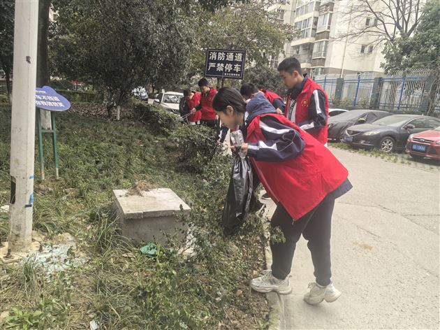 党团共建学雷锋 志愿服务树新风——棠外初中第三党支部开展学雷锋公益实践活动 