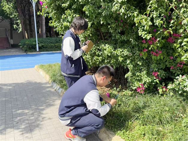 纸板上的美育之光——记棠外高中2025年“5·25我爱我”心理健康节系列活动（六）