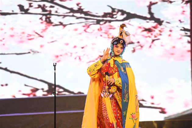 以爱为名，赴星河之约——棠外附小隆重举行2025届毕业典礼