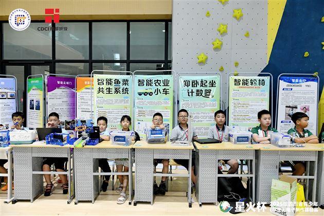 棠外附小闪耀 “星火杯”：5 项一等奖加冕，双项三甲全包揽