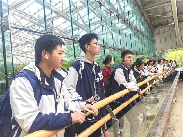 探秘金沙遗址 寻源古蜀神都——记棠外人文考古社高2024级分社考古研学活动