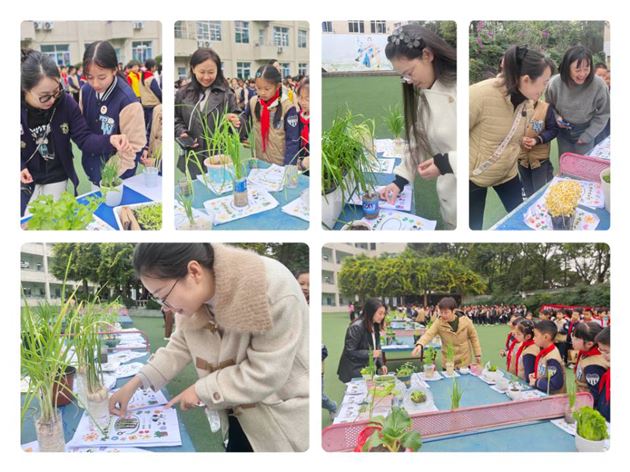 从播种到收获的成长礼赞——棠外附小四年级开展劳动成果展 