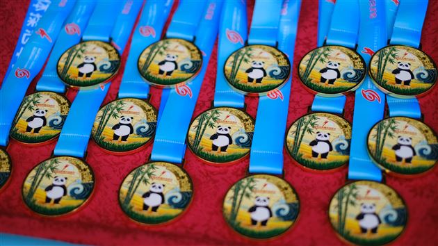 体操小将闪耀蓉城！市级比赛斩获三个特等奖