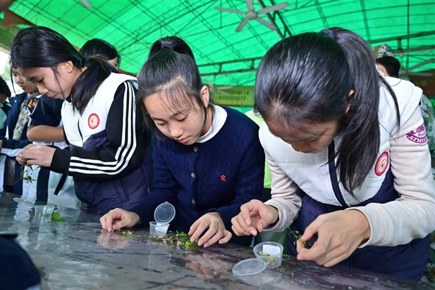 把课堂搬进田野！棠外初一学子共赴秋天劳动之约 