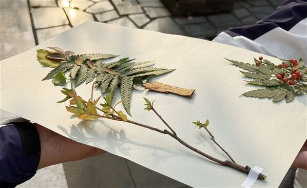 棠外高中开展户外心理团辅课 