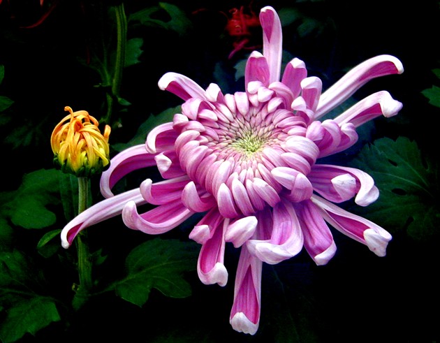 不是春光，胜似春光（一）