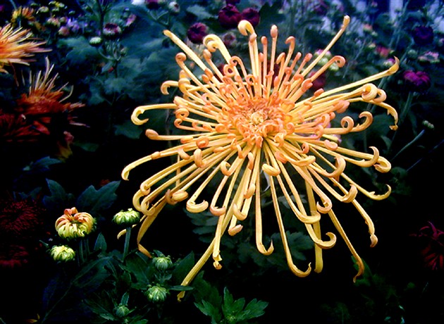 不是春光，胜似春光（三）