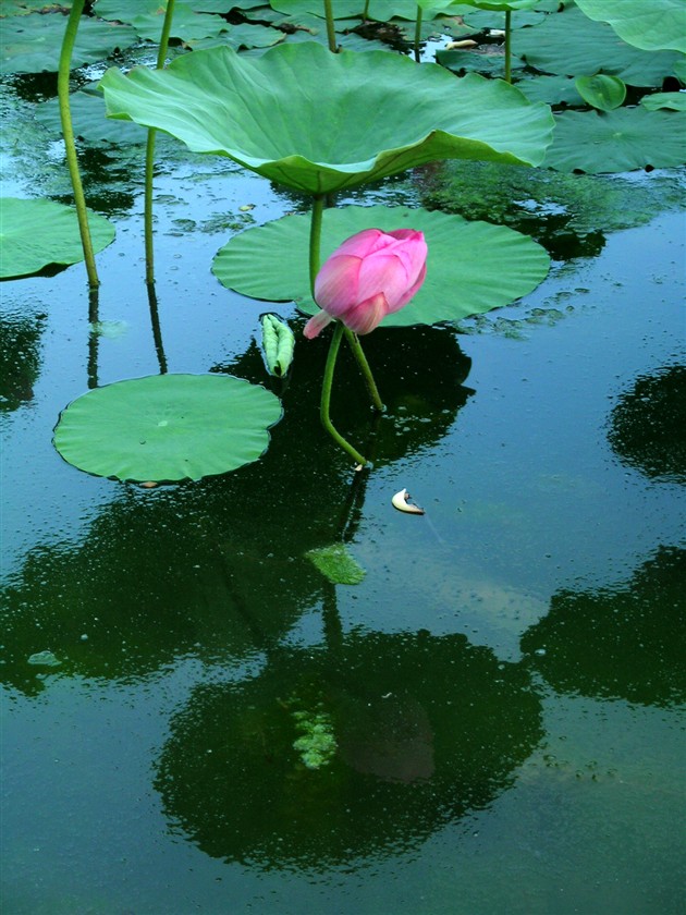 不是春光，胜似春光（四）