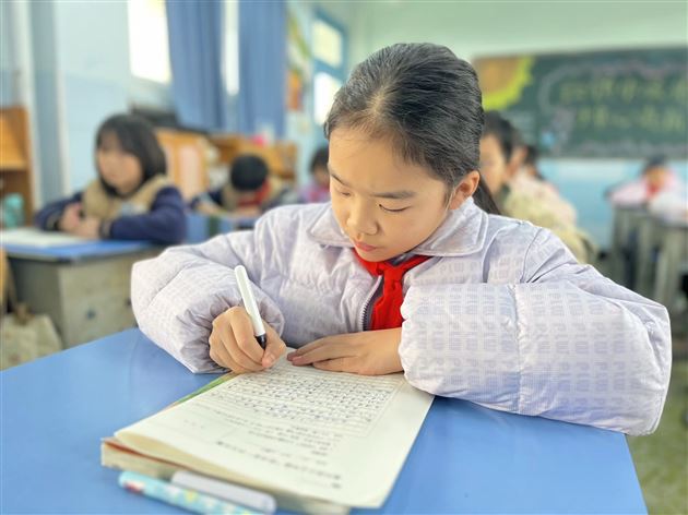 棠外附小成功举办2025年秋期“阳光杯”作文比赛